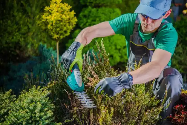 landscaping services Conway